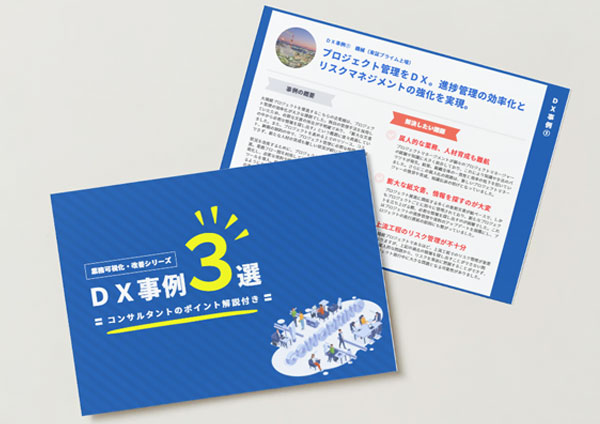 【ダウンロード準備完了】【業務可視化・改善シリーズ】DX事例3選～コンサルタントのポイント解説付き～