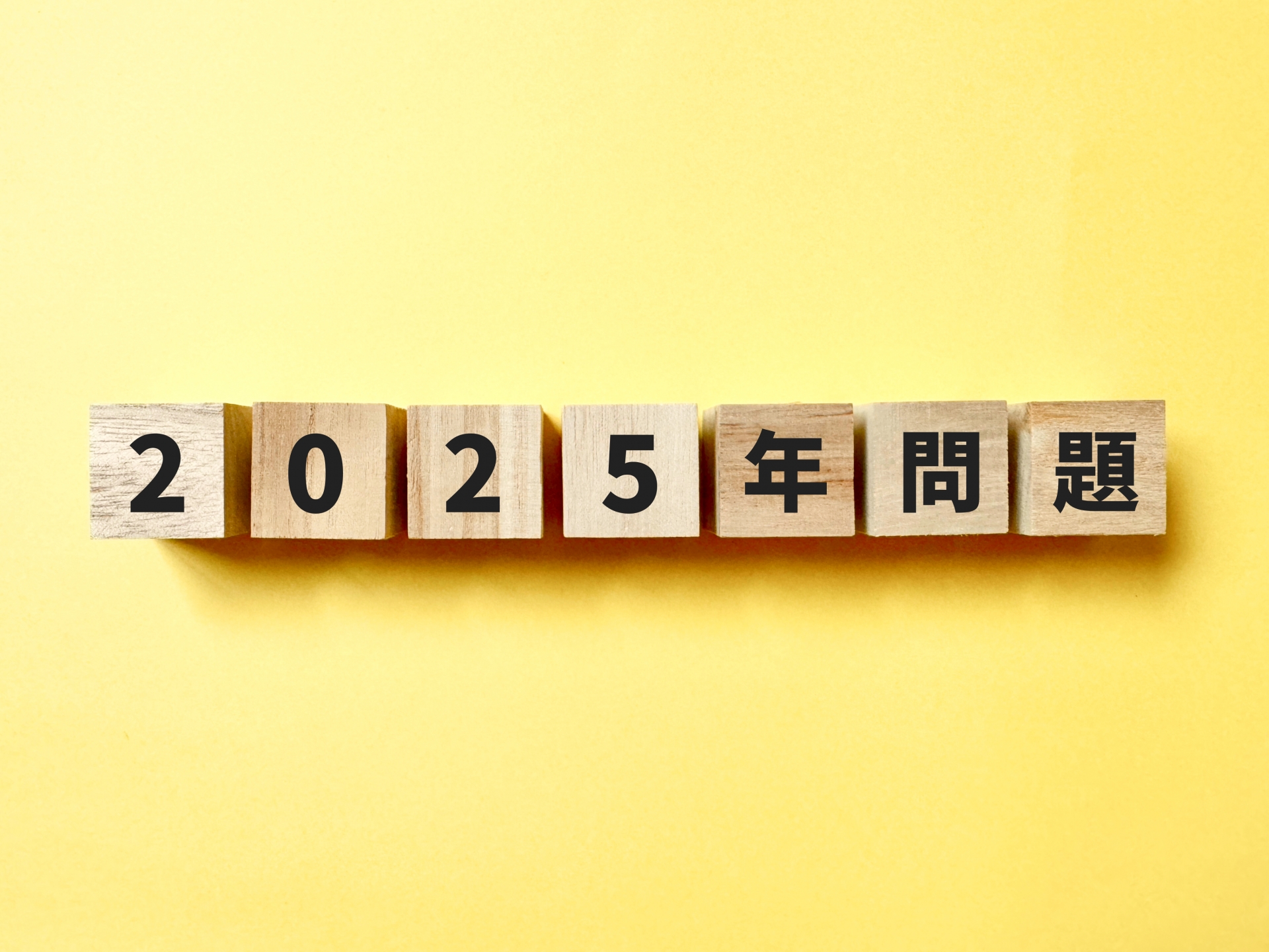 2025年問題とは？特に影響があると予想される業界、IT・情報システム目線での課題と対処方法をご紹介